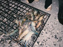 -DGE季风钓虾营地·团建·聚会