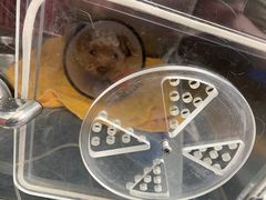 -爱侣宠医·鹦鹉专科·小型哺乳类·异宠专科(灵石路店)