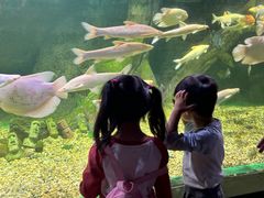 -常州海昌海洋探索馆