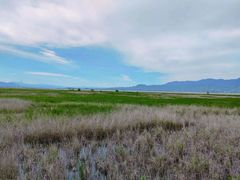 -野鸭湖国家湿地公园