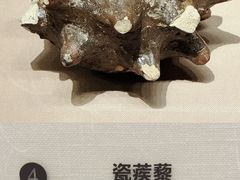 -宁夏博物馆