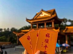 -深圳仙湖植物园