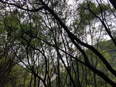 -郧西五龙河风景区
