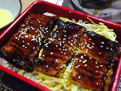 -桥岚·巷子鲜河豚鱼(专门店)