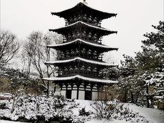 -北京世界公园