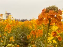 -中国天府农业博览园