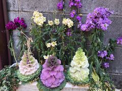 -三鹰之森吉卜力美术馆