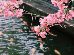 -宝墨园景区