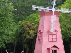 -顺峰山公园