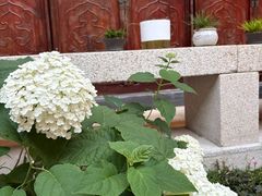 -古韵轩·江浙融合菜(梁溪店)