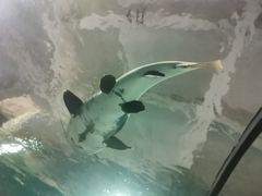 -苏州海洋馆