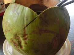 -地理学家咖啡馆