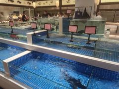 -渔人码头(中南店)