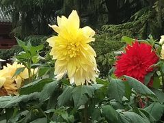 -莲湖公园