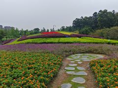 -天府芙蓉园