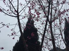 -微热山丘(台北民生公园门市店)