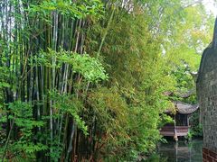 -三苏祠