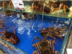 水产区-东江海鲜酒家(艺都分店)
