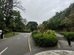 -深圳国际园林花卉博览园