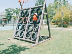 -前小桔亲子创意农场·草莓采摘·露营烧烤