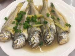 清蒸梅鱼-渔中舟海鲜大排档(普陀沈家门店)