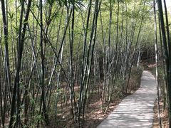 -东部华侨城