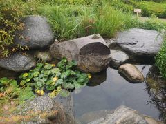 -郑州银基黄帝宫御温泉