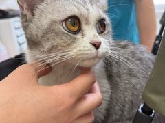 -美联众合动物医院·24h京西诊疗中心