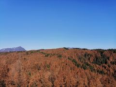 -山王坪喀斯特国家生态公园