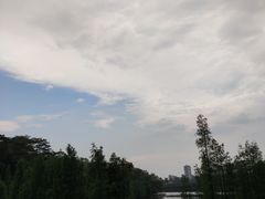 -三水森林公园