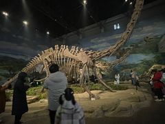 -自贡恐龙博物馆
