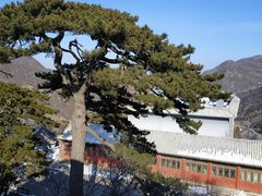 -妙峰山风景名胜区