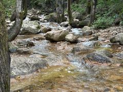 -驼梁风景区
