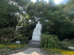 -水绘园