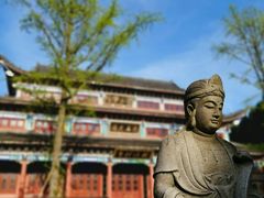 -武陵山森林公园