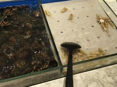 -火锅岛潮牌自助餐厅(天津天佑城店)