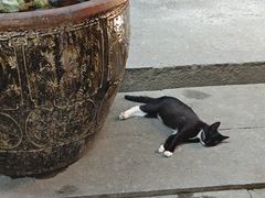 -潜口民宅博物馆