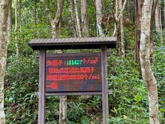 -姑婆山旅游区