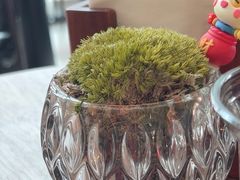 -Ur Garden中庭花园•逸餐厅(福田CBD逸扉酒店)
