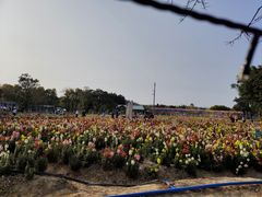 -广东花都香草世界旅游度假区