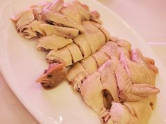 广州清心鸡-清心鸡沙田乳鸽店·非遗传承(石溪店)