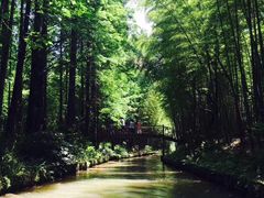 -同里国家湿地公园