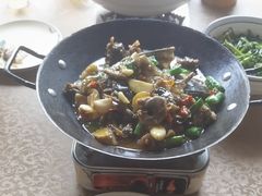 -后湖小院·乡野田园菜