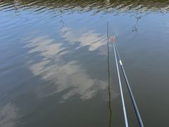 -前关湿地公园
