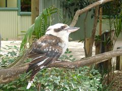 -费瑟代尔野生动物园