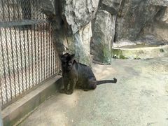 -南昌动物园