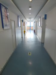 -温州伯思立医院