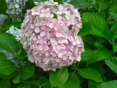 android_upload_pic-黔蘑菇四季餐厅(观山湖店)