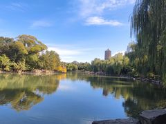 -北京大学