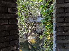 -老张烤羊(王哥庄店)